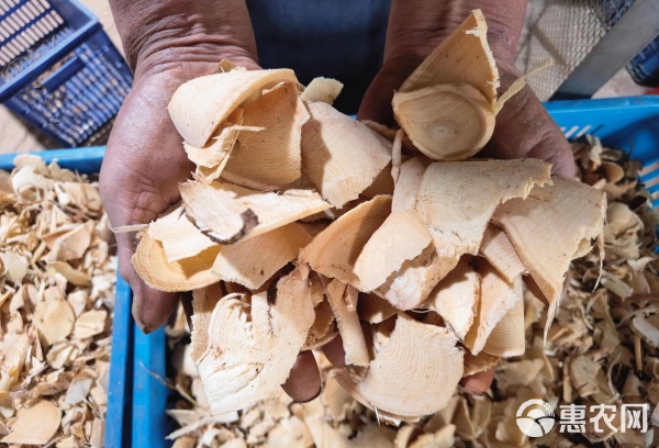 河源源城区直发 优质五指毛桃根茎干货，药材批发零售一手货源